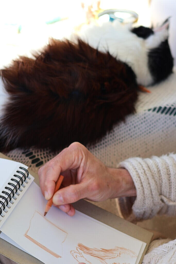 Untitled High-angle view of the artist drawing a fine-line illustration with a pencil in the art album, while the cat sits nearby on the terrace studio.