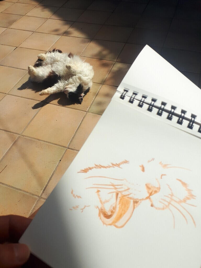 Untitled Close-up of the artist's hand holding an open art album featuring a cat illustration, with the cat, sitting softly in the background on the open-air terrace in Forio.